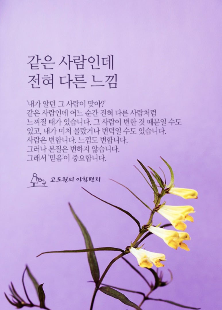진이어스 이미지