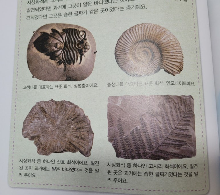 몰드와캐스트 이미지