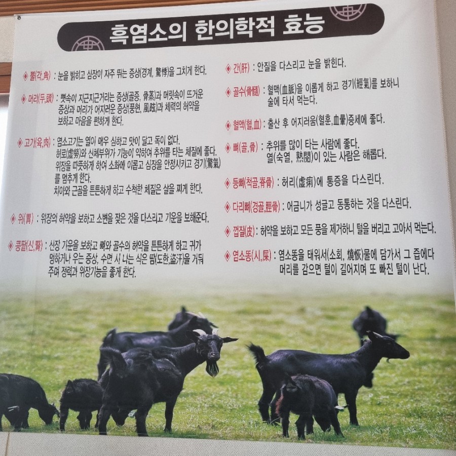 감악산흑염소 이미지