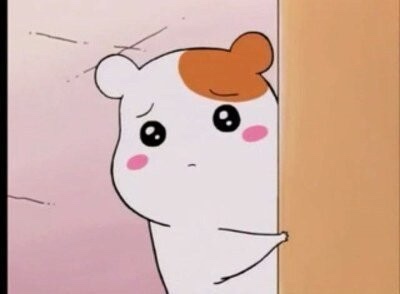 라비브 이미지