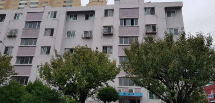 신양개발 이미지