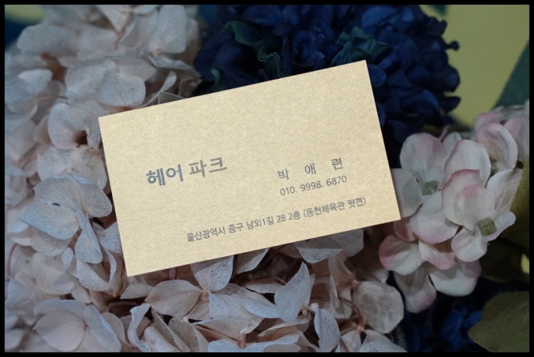 헤어파크 이미지