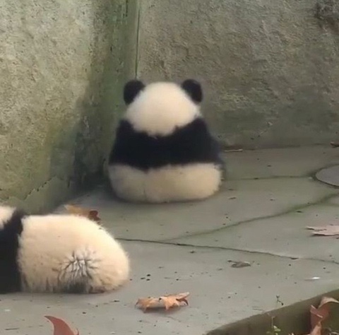 곽내과 이미지