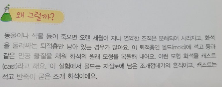 몰드와캐스트 이미지