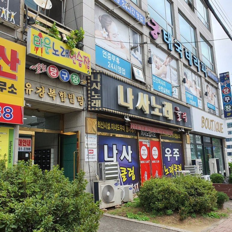 나사노래클럽 이미지