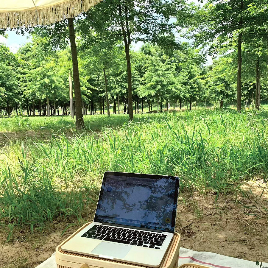 블루문디자인랩 이미지