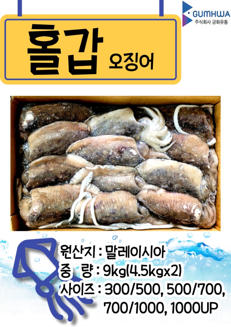 주식회사 금화 이미지