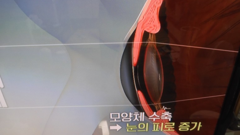 도라지와하수오를사랑하는사람들 이미지