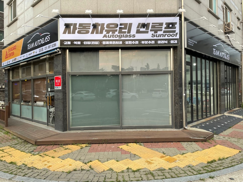 통진차유리 이미지
