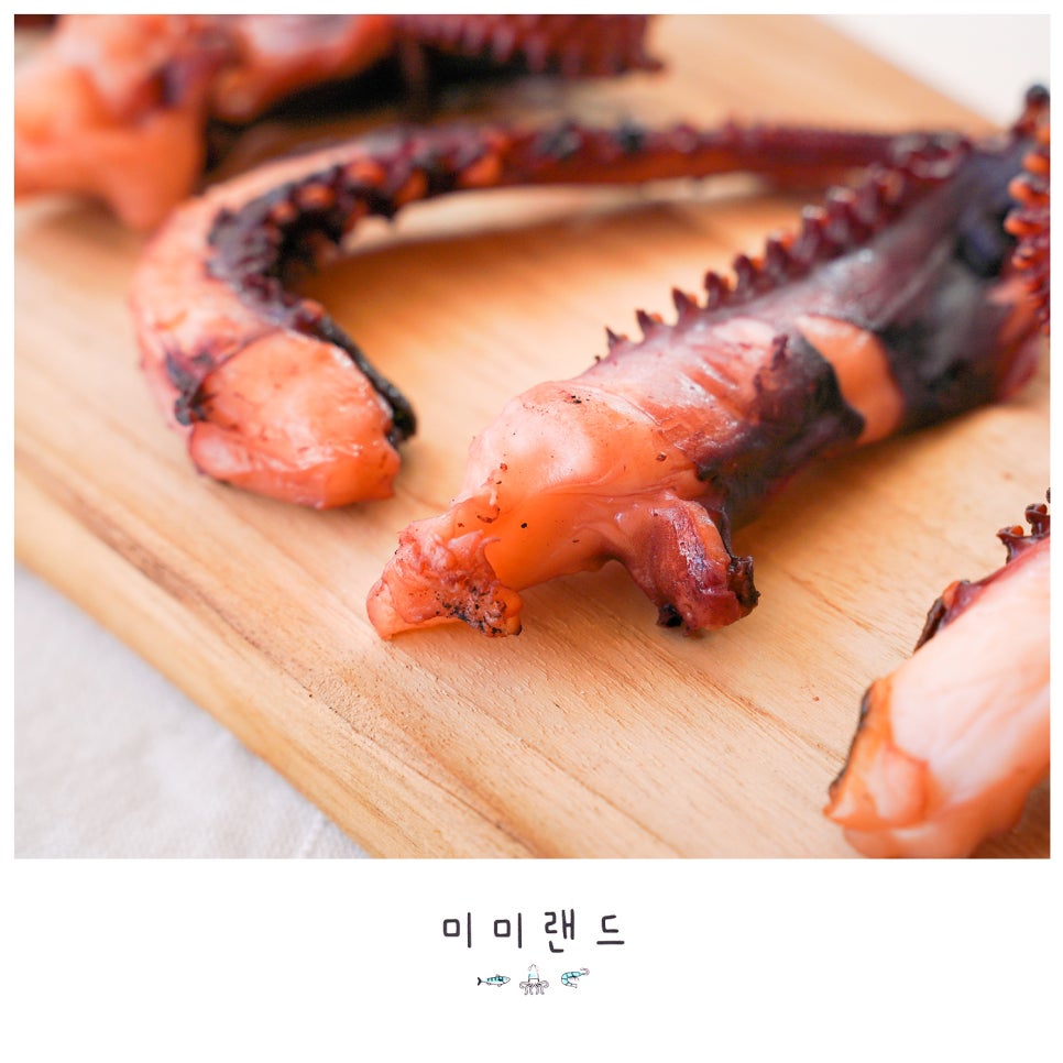 미미랜드 이미지