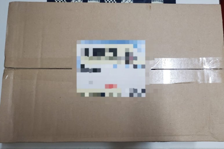 천지마늘 이미지