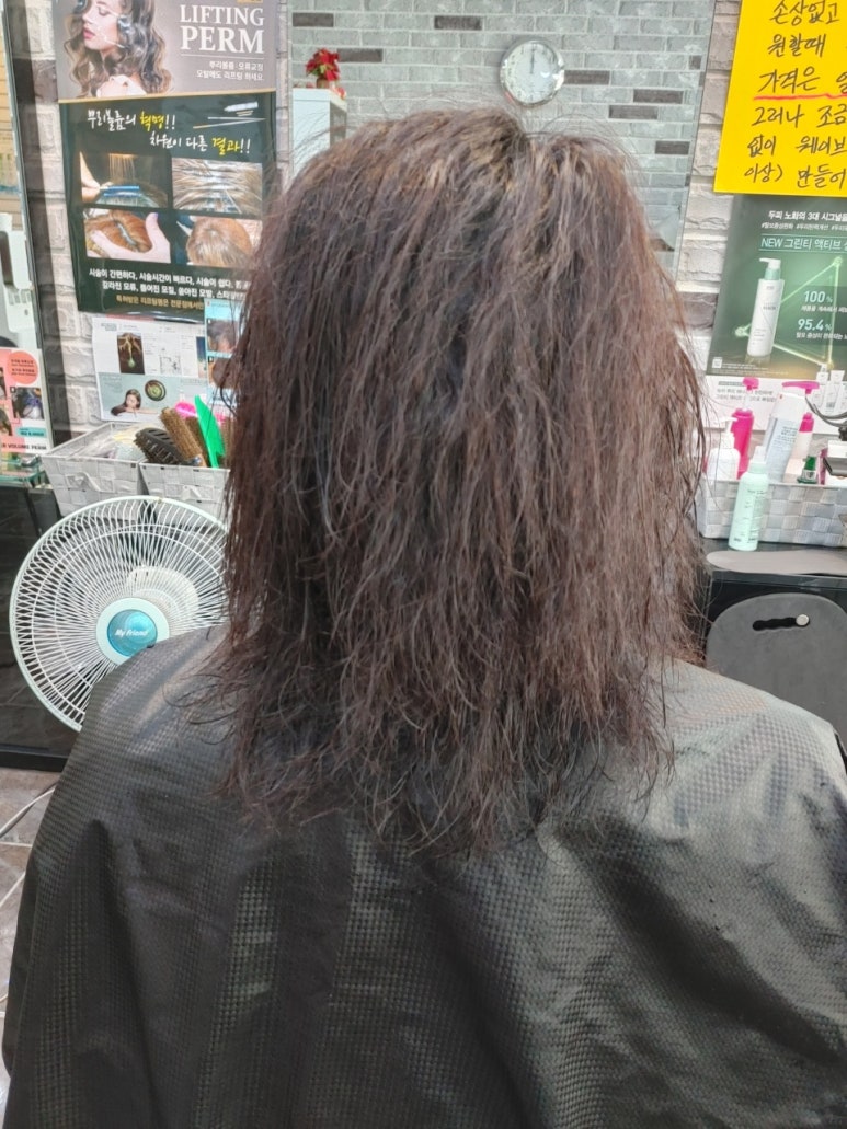 그레이스헤어 이미지