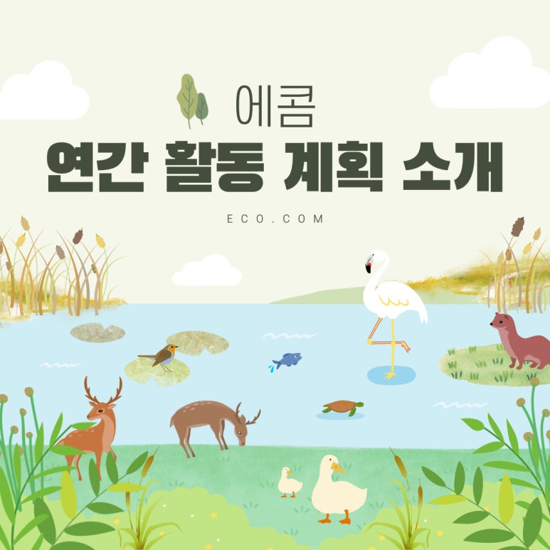에콤 이미지