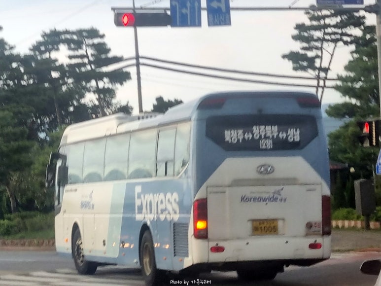 와이드대성 이미지