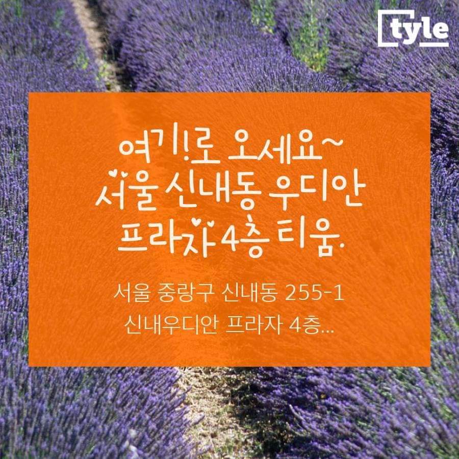 갤러리티움 이미지