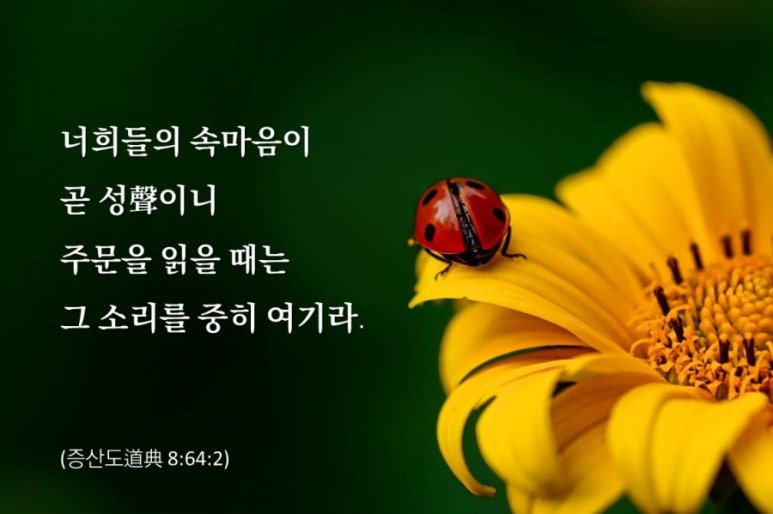 어묵천지 이미지