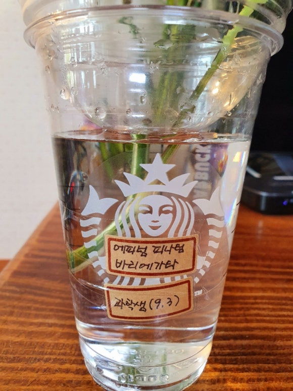 에피텀 이미지