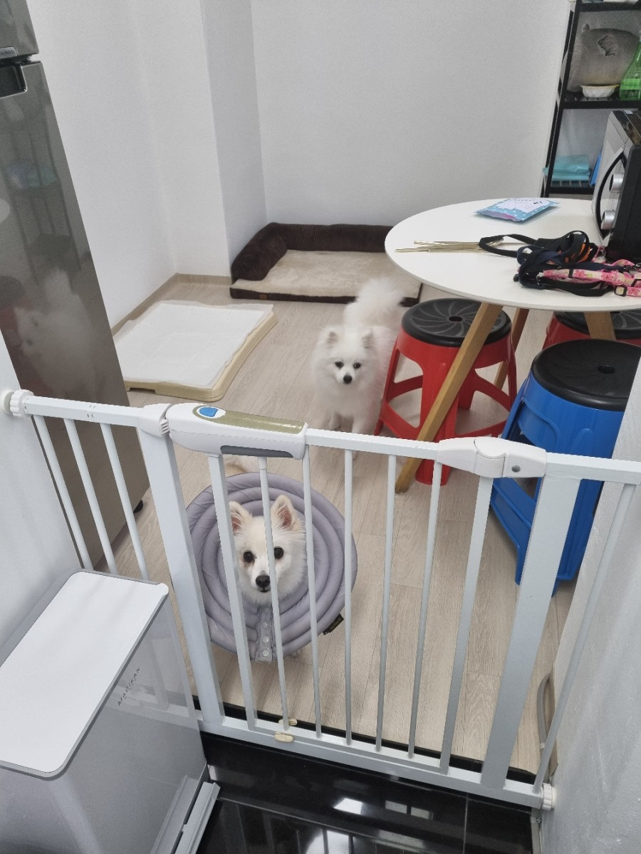 경일통신 이미지