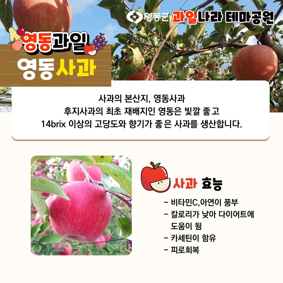 맛있는과일나라 이미지