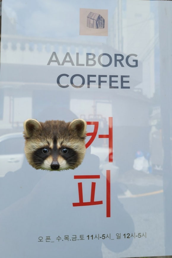 알보그 이미지