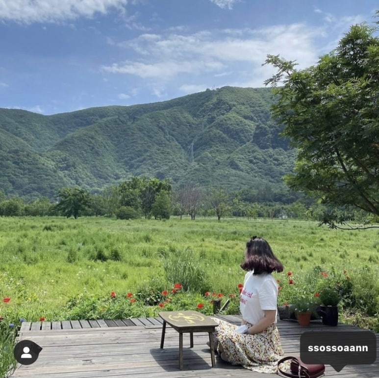 나리상회 이미지