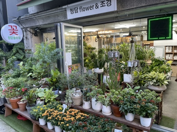청담꽃화원 이미지