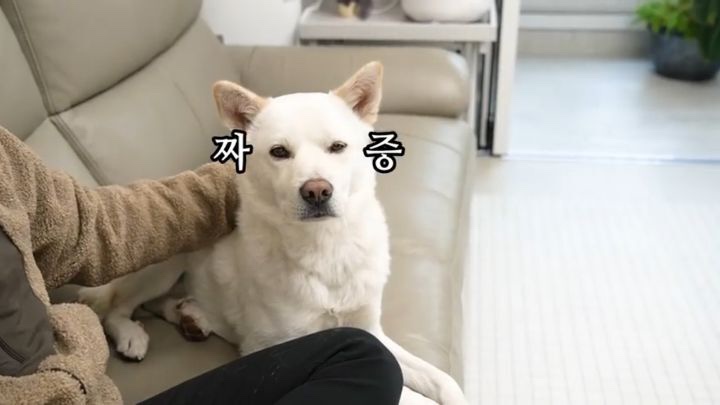 해피 이미지