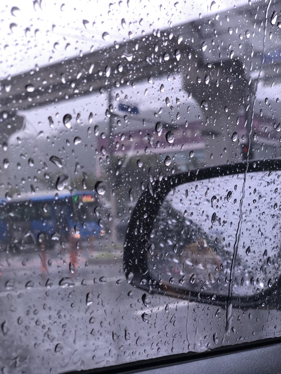 올리브폴스튜디오 이미지