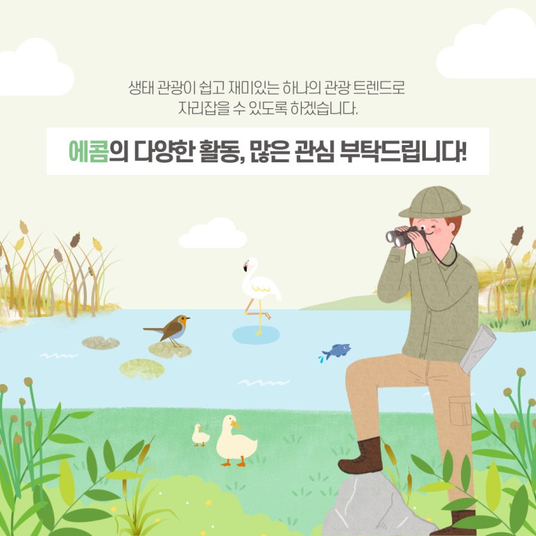 에콤 이미지