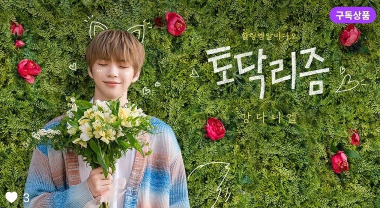 볼리즘 이미지