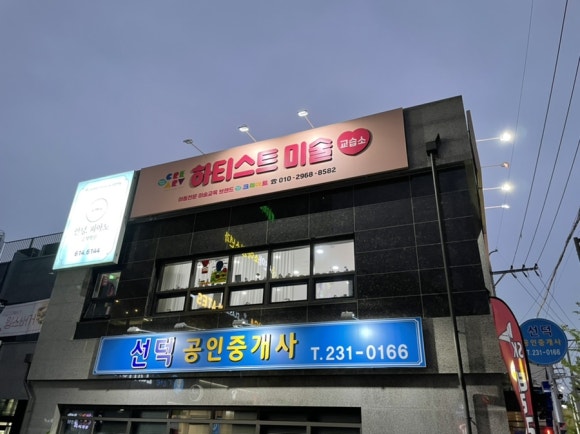 하티스트미술 이미지