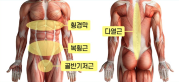 마린코어 이미지