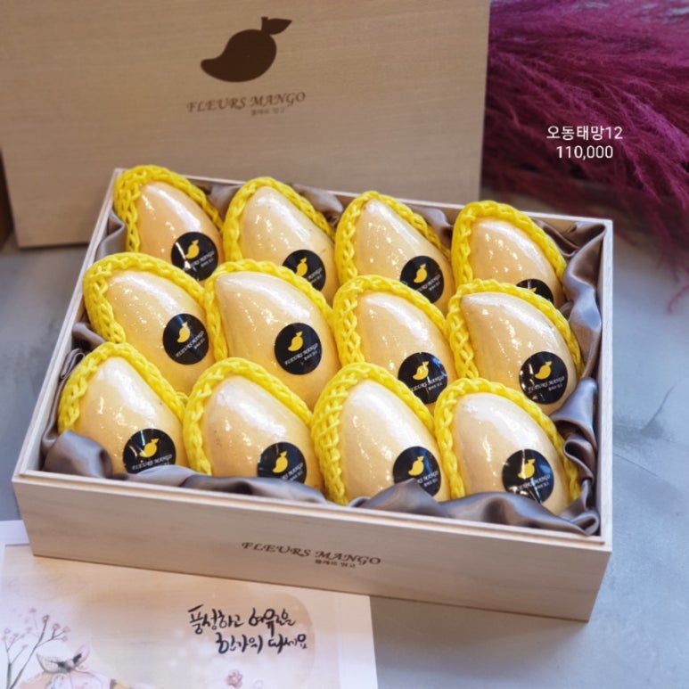 플레르망고 이미지