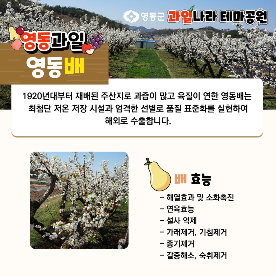 맛있는과일나라 이미지