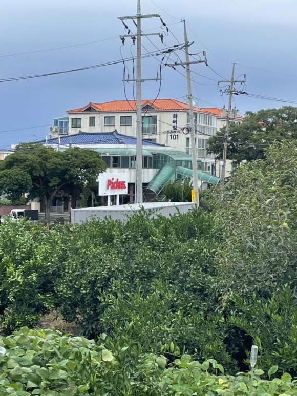 다모아마트오등동점 이미지