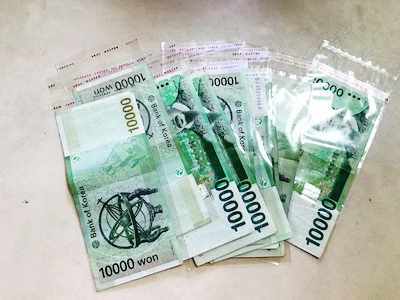 컨브리오 이미지