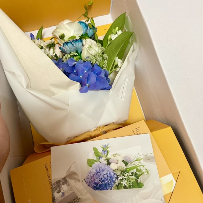 운텔레콤 이미지