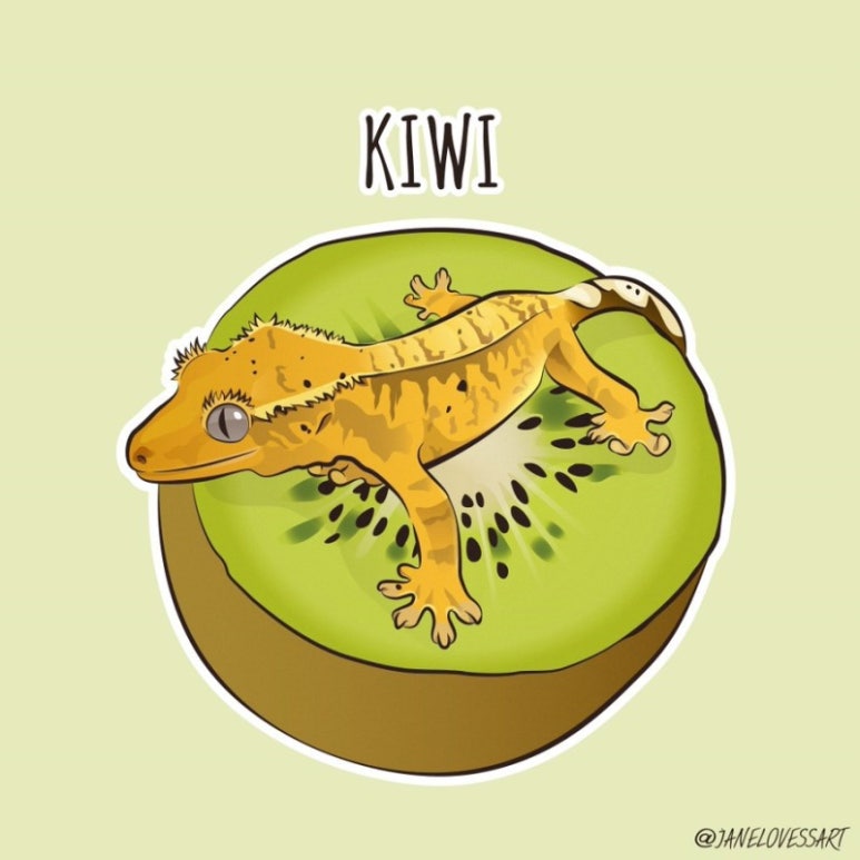 착한공방 이미지