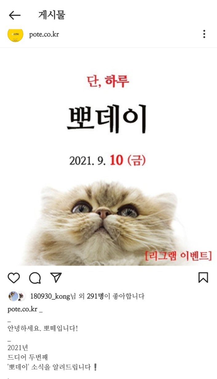뽀데이 이미지
