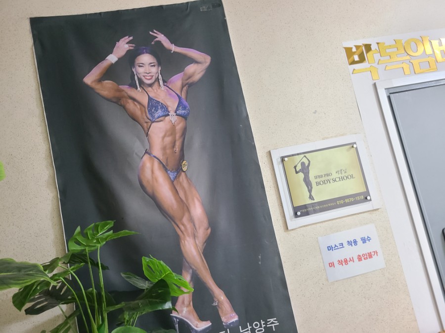 박복임바디스쿨 이미지