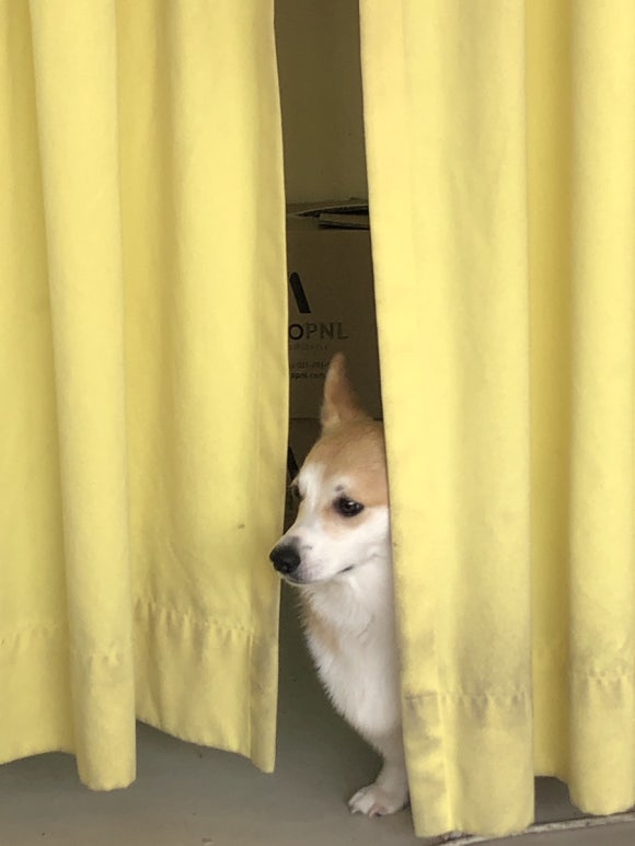 아워아워스 이미지