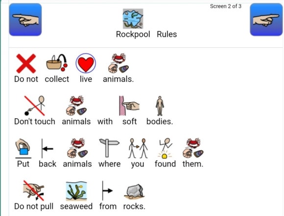 ROCKPOOL 이미지