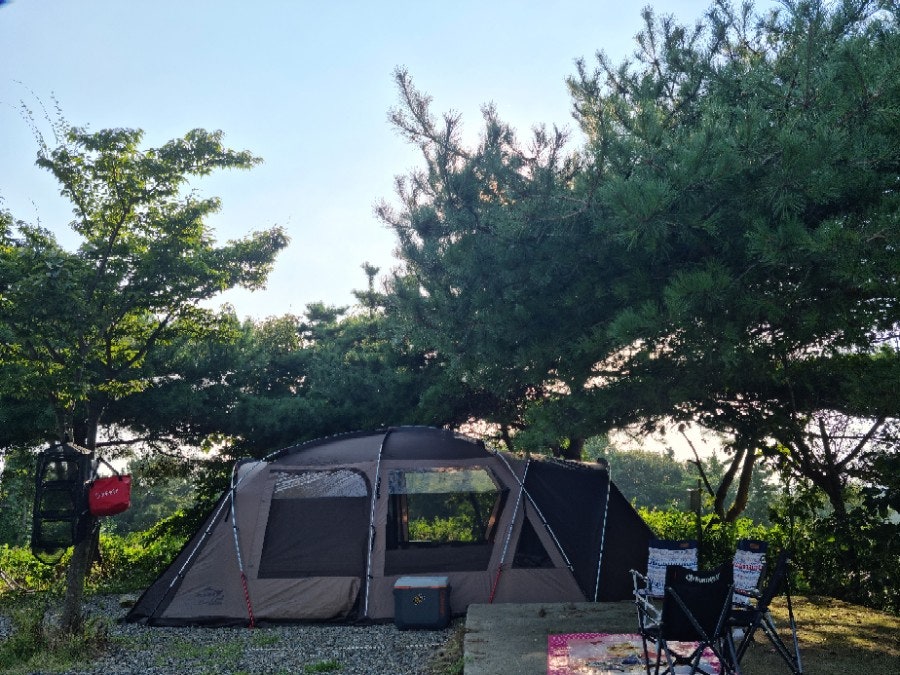 궁평항3호 이미지