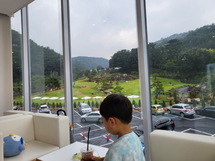 카페느티나무 이미지