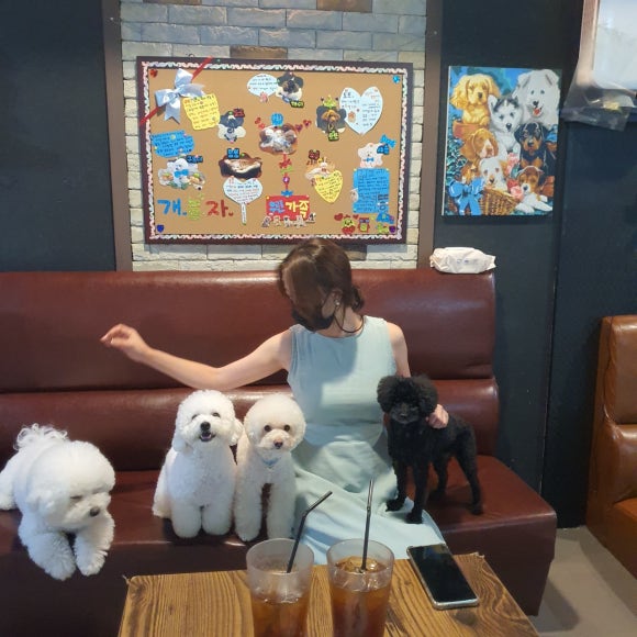 개랑 놀아주는 남자 이미지