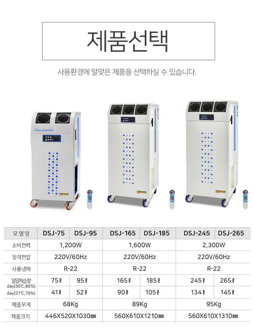 DSJ 이미지