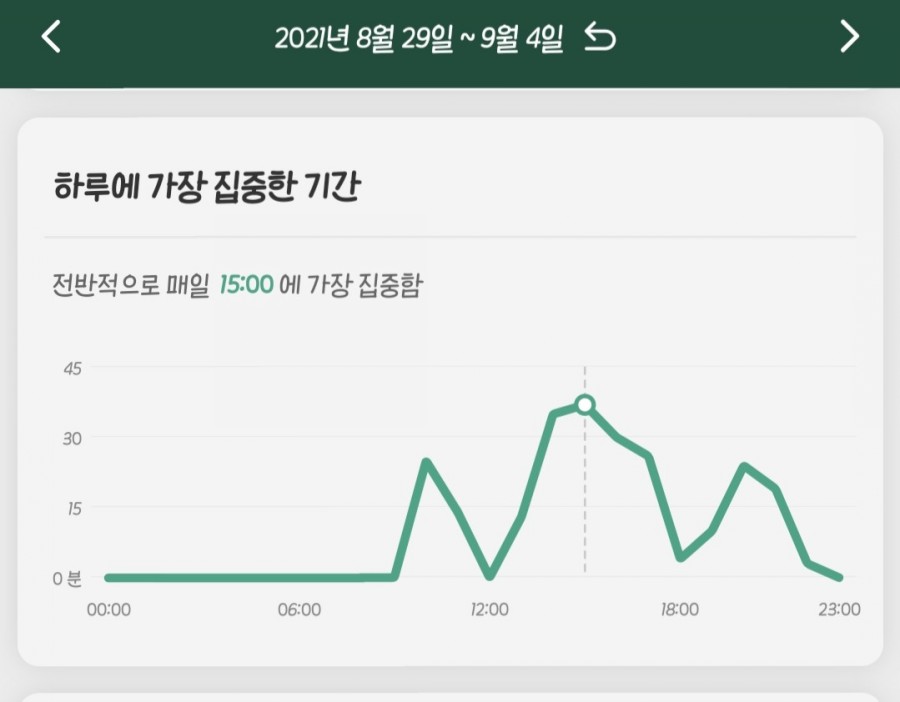 포레스트(forest) 이미지