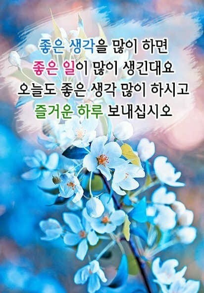 키즈웰치과의원 이미지
