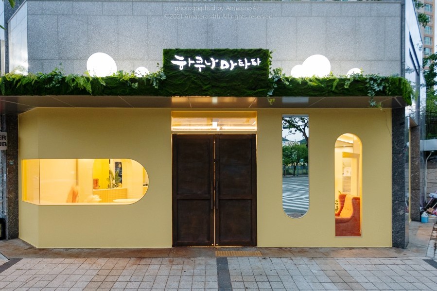 하쿠나마타타베이커리 이미지