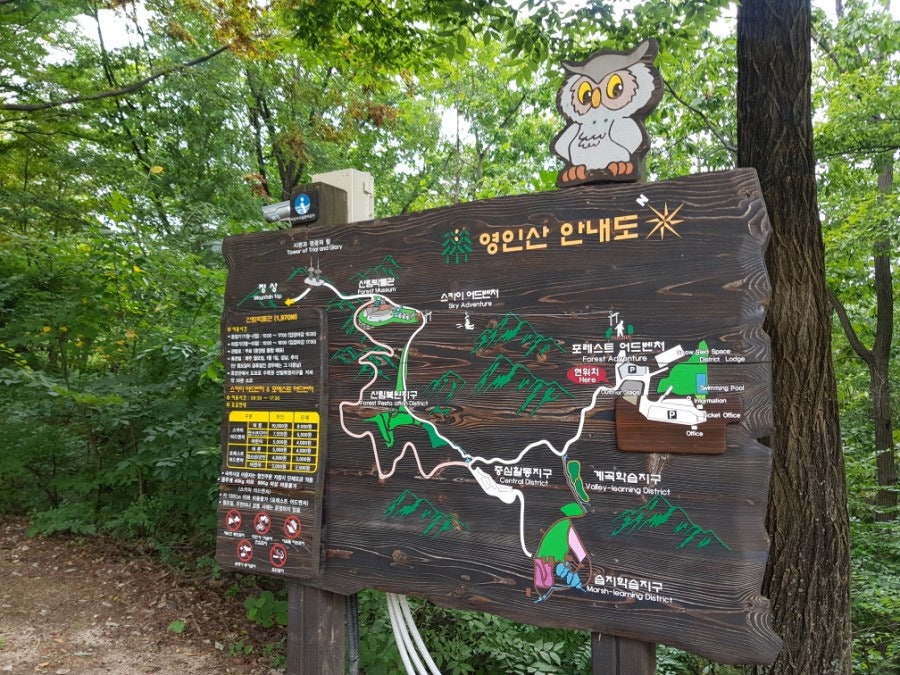 스카이어드벤처 이미지